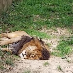 Meet your Posher, Dan